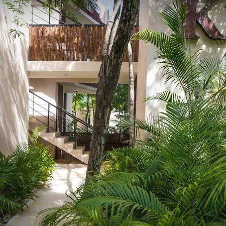 New Loft! Jungle Gym Pool Apartment