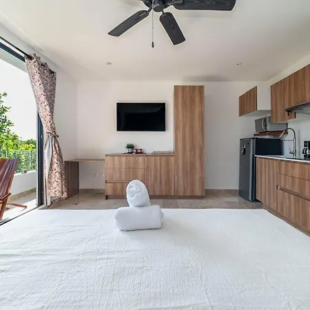 With Private Balcony, Rooftop Pool,gym Tulum