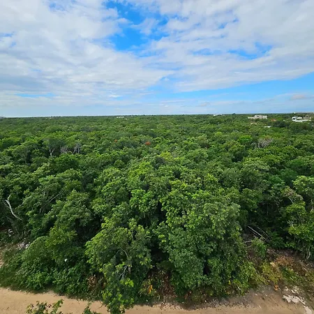 Apartment 2 Bedroom In Mistiq Gardens With Pool And Gym Tulum