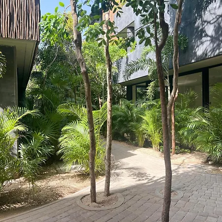 Humana In Apartment Tulum