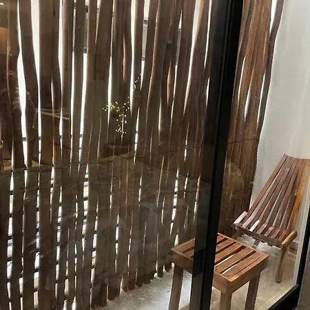 Handicap Accessible Apartment Tulum