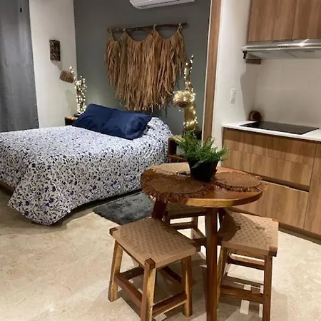 Handicap Accessible Apartment