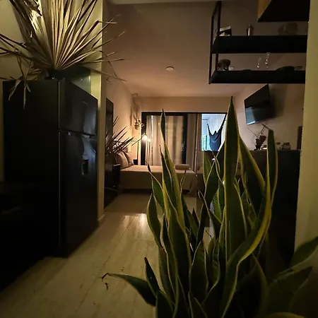 Naia Apartamento