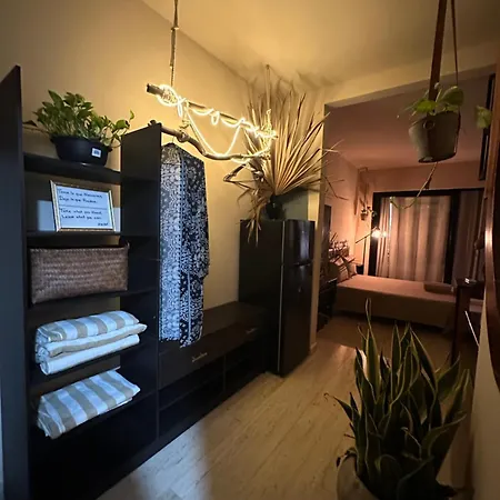 Apartamento Naia *