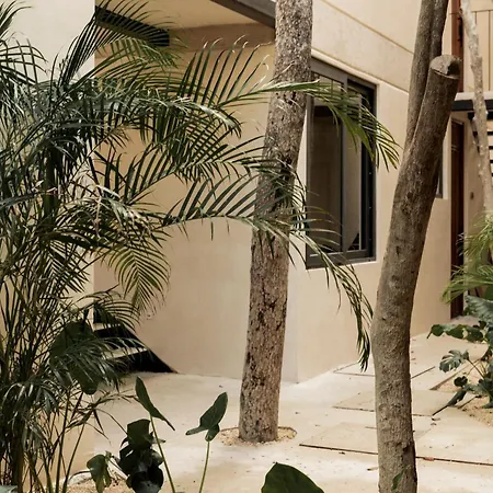 Apartment Arba Ii, Aldea Zama, With Private Plunge Pool Tulum