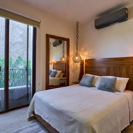 Centrico Y Espacioso Apartment *