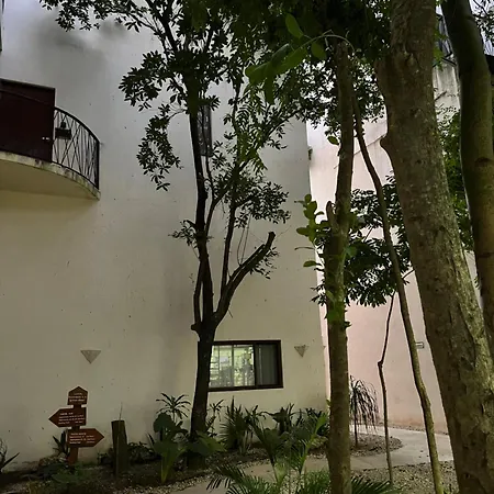 Apartment Centrico Y Espacioso *