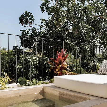 Arba Ii, Aldea Zama, With Private Plunge Pool *