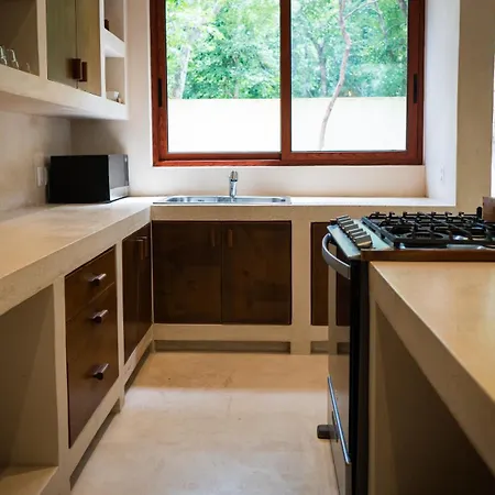 Apartment Tipg New With Private Pool 8 Guests Tulum