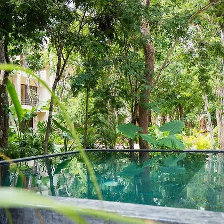 Tipg New With Private Pool 8 Guests Apartment
