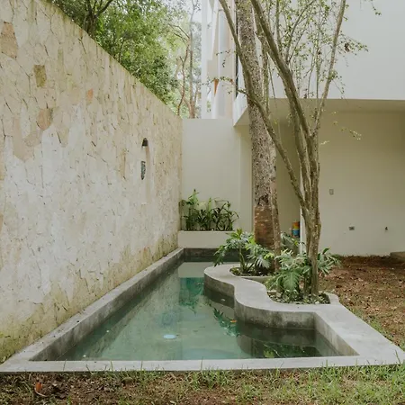 Otoch Penthouse Spaceous Private Pool