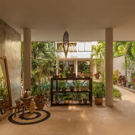Nomad Humans Coliving Apartment Tulum