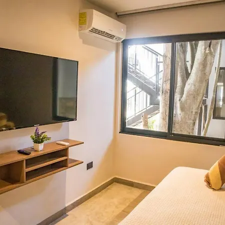 Apartment 1 Bedroom In Downtown Walking Distance From Bars