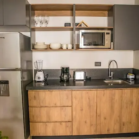 Apartment 1 Bedroom In Downtown Walking Distance From Bars