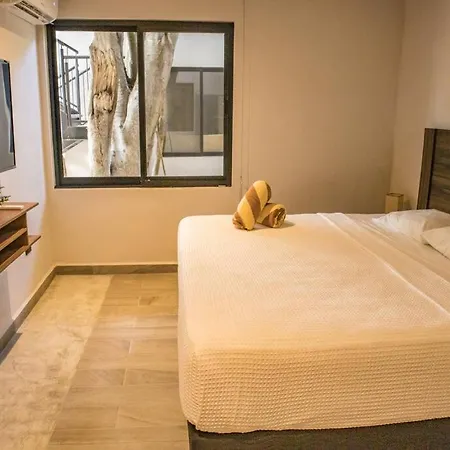 1 Bedroom In Downtown Walking Distance From Bars Apartment *