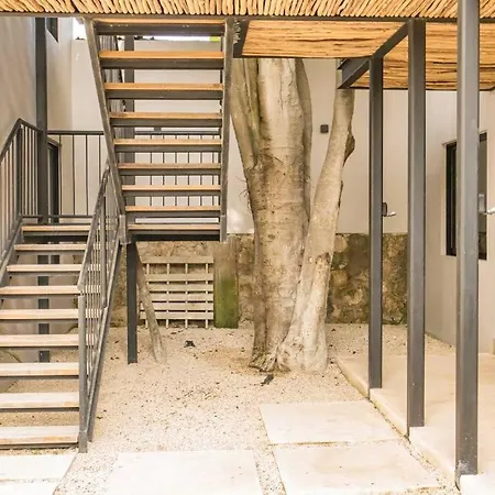 1 Bedroom In Downtown Walking Distance From Bars Apartment