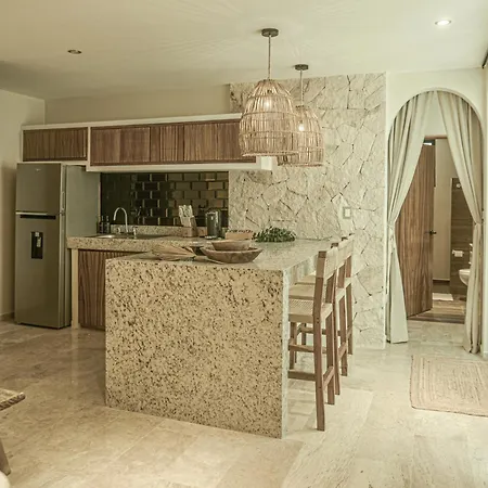 Luxury Penthouse-private Rooftop Pool-walkable Apartment