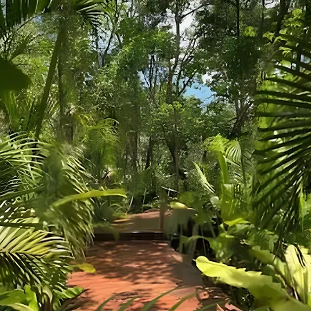 Oasis Yaaxlum *