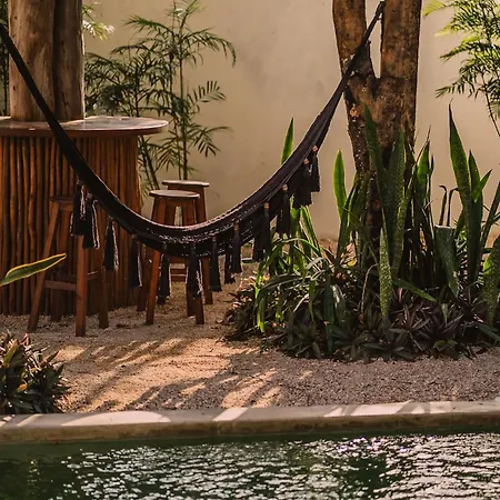 7br Dream Pool Jacuzzi And Stylish Patio Villa Tulum