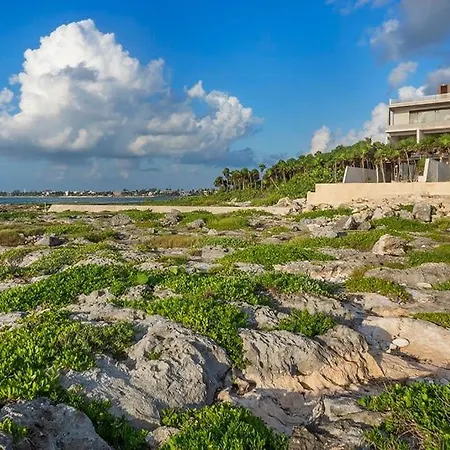 Villa Oceanview 4br Concierge Service Tulum