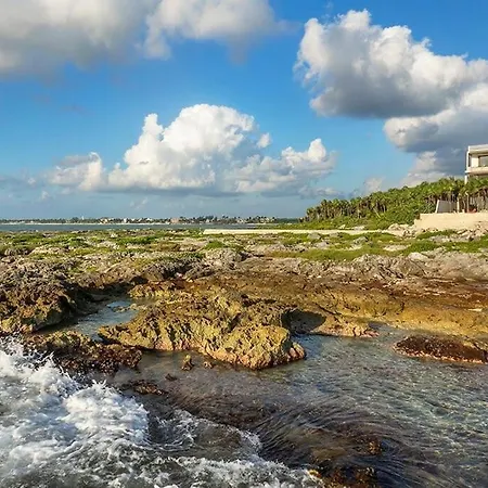 Oceanview 4br Concierge Service * Tulum
