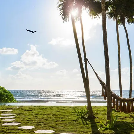 Oceanview 4br Concierge Service Tulum