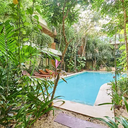 Apartment Penthouse Private Rooftop With Plunge Pool And Bbq Grill Tulum