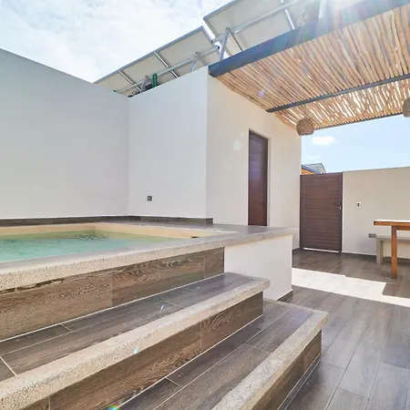 Penthouse Private Rooftop With Plunge Pool And Bbq Grill Apartment *