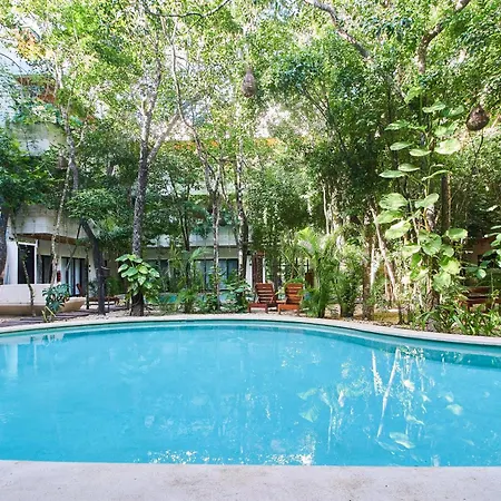 Apartment Penthouse Private Rooftop With Plunge Pool And Bbq Grill Tulum