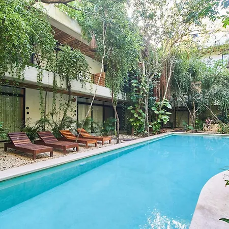 Penthouse Private Rooftop With Plunge Pool And Bbq Grill *