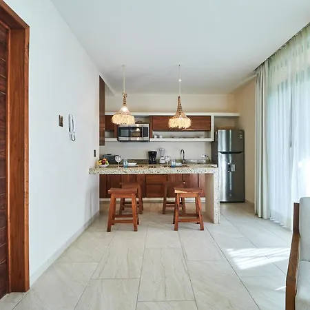 Apartment Penthouse Private Rooftop With Plunge Pool And Bbq Grill Tulum