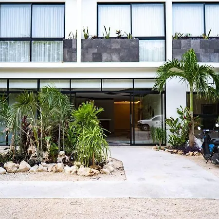 Level With Minifridge Microwave And Splash Pool * Tulum