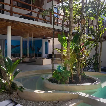 4br Jungle With Jacuzzi In Private Gated Community Tulum