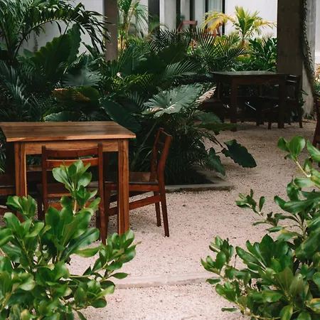 Apartment Seremonia Selva By Dream Vacay Tulum