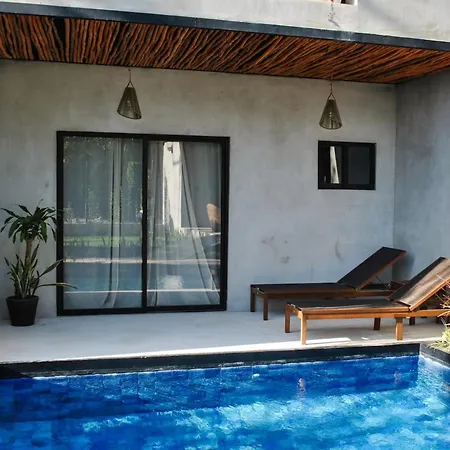 Swim Up Estudio Selvatico *