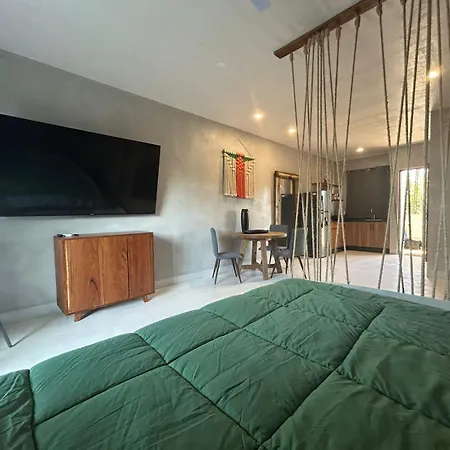 Ayook Starlink Apartment *