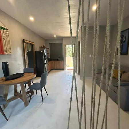 Ayook Starlink Tulum