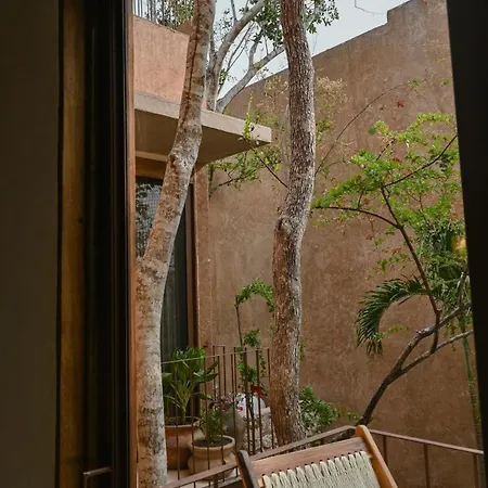 Stylish 3br With Rooftop Plunge Pool, La Veleta *