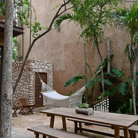 Stylish 3br With Rooftop Plunge Pool, La Veleta