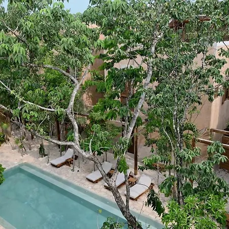 Holiday home Stylish 3br With Rooftop Plunge Pool, La Veleta Tulum