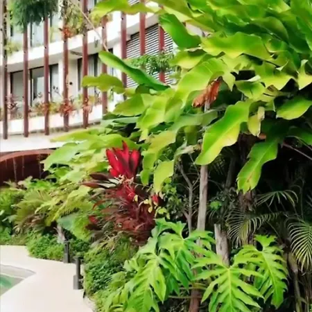 Ixmali, Jungle Avec Vue Proche De La Apartment *