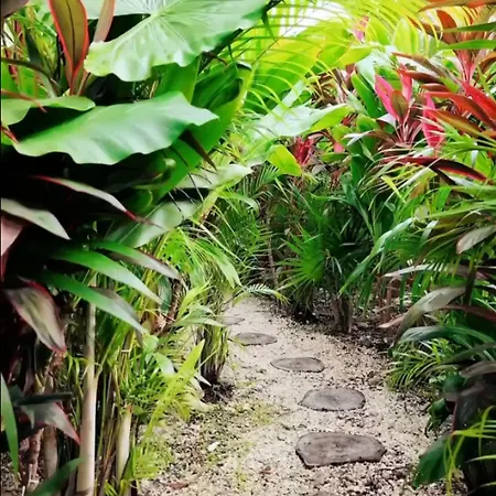 Ixmali, Jungle Avec Vue Proche De La Tulum