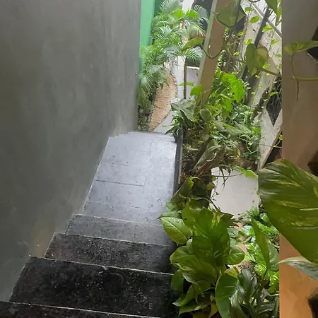 Estudio Centrico * Tulum