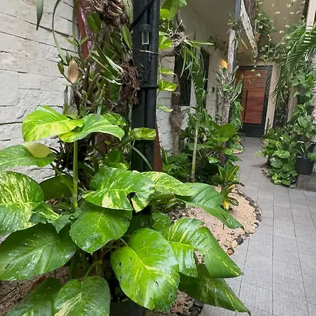 Estudio Centrico Apartment *