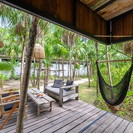 Vida Silvestre Tulum