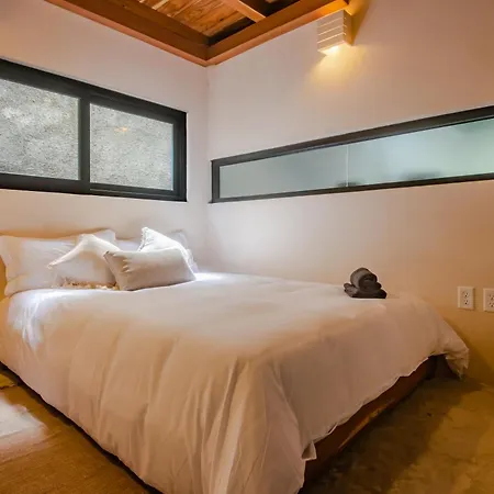 Bright 2br Loft With Rooftop Pool In Downtown Location Tulum