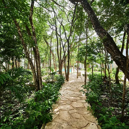 Premium With 2 Pools, Gym, Yoga Deck, Bbq Grill & Security *