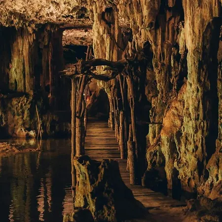 Loft In Cenotes Natural Park