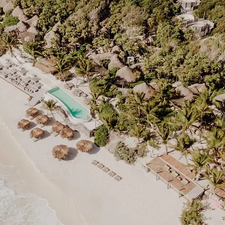Luxury With Papaya Playa Project Club Membership