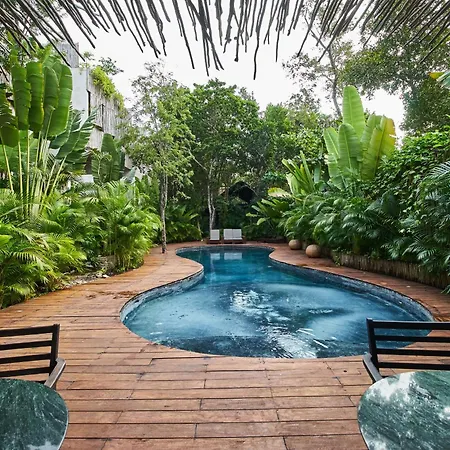 Luxury With Papaya Playa Project Club Membership Apartment *